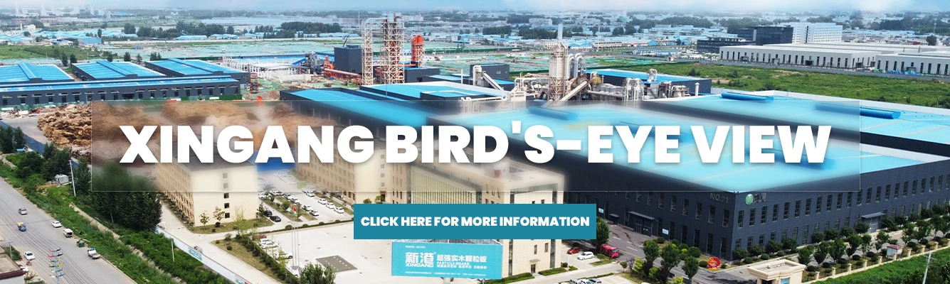 xingang Bird's-eye view