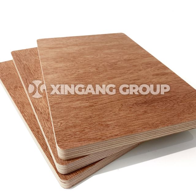 18mm Bintangor Plywood