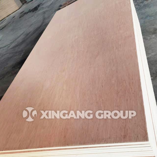 18mm Bintangor Plywood
