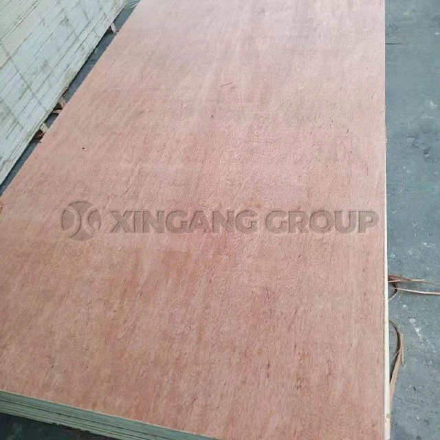 Bintangor Face Plywood Commercial Plywood For Furniture