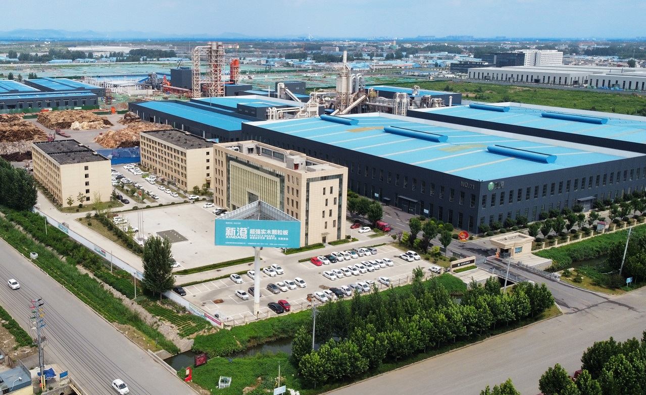 Schimbări și tendințe ale capacității de producție de placaj a Chinei în 2021