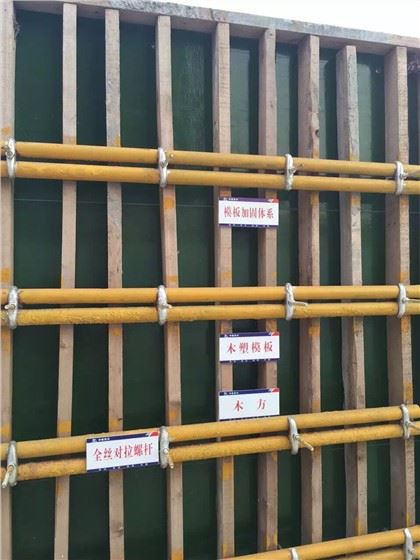 Placa impermeabila din placaj de constructii