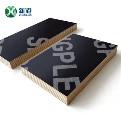 Placaj de cofraj 1220x2440 1250x2500mm 15mm 18mm