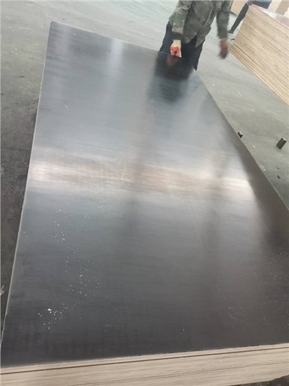 PLACAJ CU FATA AAAFILM