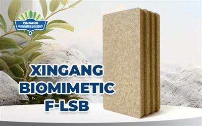 Xingang   Biomimetic   F-LSB
