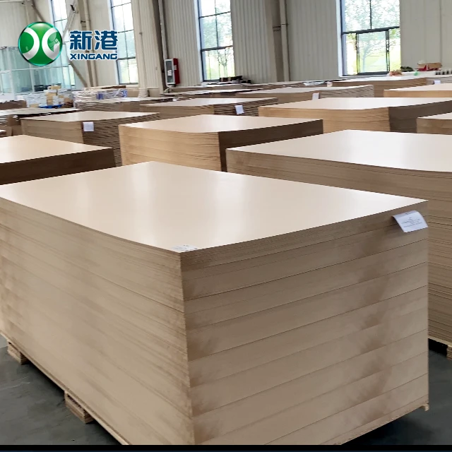 MDF20241115