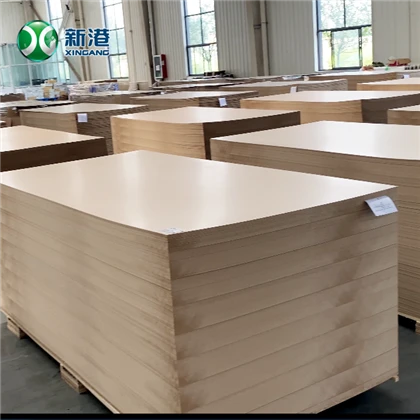 MDF20241115